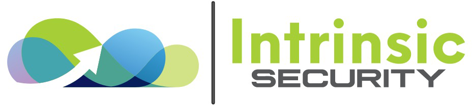 Intrinsic Logo