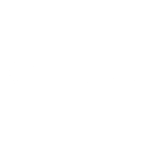Technology Partner Logo 13