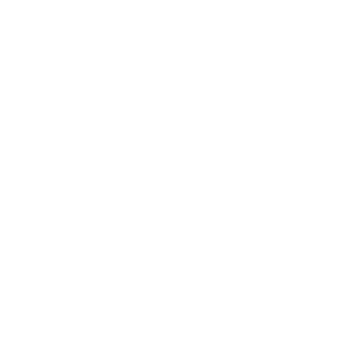 Technology Partner Logo 9